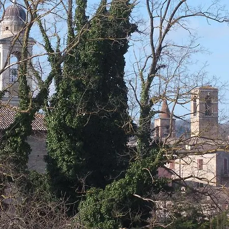 Pippinella Apartment Urbania