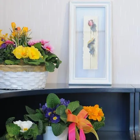 Pippinella Apartamento